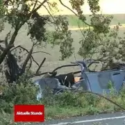 Heroic Rescuers' Desperate Race Against Time to Save Stranded Whale on Scots Beach