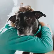 Heroic Woman Saves Dog Hours Before Scheduled Euthanasia in Heart-Stopping Rescue