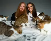 Honeymoon Heartbreak: Newlyweds' Rescued Kittens Lost by Airline After Crete Holiday