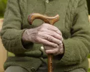 Hospices in Crisis: UK's Assisted Dying Debate Leaves Palliative Care Sector at Breaking Point