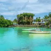 I Found Rum, Cooking, and Love on a Secret Caribbean Island | A Solo Traveller's Paradise Found