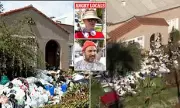 Inside LA's Nightmare 'Trash House': Mountains of Filth and Rotting Waste Finally Cleared After Neighbours' Decade-Long Ordeal