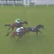 Jockey's Public Apology After Shocking Defeat on 1-7 Favourite at Fontwell