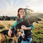 King Charles' Beloved Corgis Are 'Poorly Trained' and 'Badly Behaved', Claims Top Dog Expert