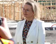 Liberal Leadership Turmoil: Sussan Ley Denies Knives Out for Demoted Jacinta Nampijinpa Price