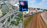 Living Near Noisy Roads, Railways or Flight Paths Significantly Increases Stroke Risk, Experts Warn