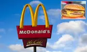 McDonald's Giving Away FREE Cheeseburgers TODAY: Your Ultimate Guide to Claiming Yours | Daily Mail UK
