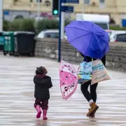 Met Police Data Breach: Urgent Steps Every Londoner Must Take Now