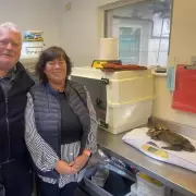 Miracle Turtle Rescue: 'Plastic Prison' Shell Cracked After 2 Years Stranded on Remote UK Beach