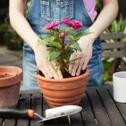 Monty Don's Essential September Gardening Checklist: What to Plant & Prune Now