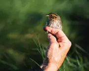 Moon's Shifting Orbit Set to Trigger Unprecedented Coastal Flooding Across UK, Warn Scientists