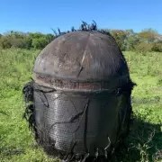 Mysterious Hairy Object Plummets From Sky Over UK, Baffling Residents and Experts