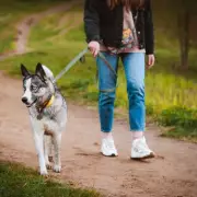 Neighbour Nightmare: 'Unhinged' Resident Threatens to 'Slaughter' Family Dog in Vile Note