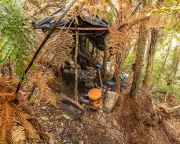 New Zealand Manhunt: Fugitive Father Sparks International Search Amid Fears of Outside Help