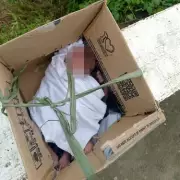 Newborn Baby Girl Rescued After Being Found Abandoned in Cardboard Box on Freezing Warsaw Street
