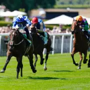 Newbury Racecourse Gold Rush: The Newsboy's Unmissable ITV Racing Tips for Saturday's Blockbuster Card