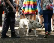 NSW Police Face Landmark Class Action Over Alleged Illegal Strip Searches at Music Festivals