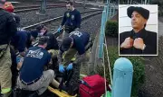 Oregon Train Horror: Man Paralyzed Neck Down After Being Caught in Doors and Dragged
