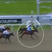 Paddy Power's 'Deluded' Wolverhampton Stunt: Racing Fans Fume as Horse Named After Bradley Walsh Runs Last