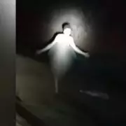 Police Intervene as Man Sparks Panic Walking Down M6 Motorway Near Birmingham