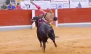 Portuguese Matador Gored in Harrowing Bullring Horror: Shocking Footage Emerges