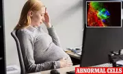 Pregnancy Alert: Groundbreaking Study Links THC Cannabis Use to Increased Risk of Birth Defects and Autism