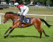 Race-Fixing Scandals Exposed: The Dark Underbelly Threatening British Horse Racing's Integrity