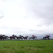 Racing Tipster's Thursday Picks: Kempton & Pontefract Best Bets Revealed