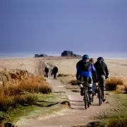 Rare Ghost Orchid Stuns Walker In Kent Woods: 'Once-In-A-Lifetime' Sighting