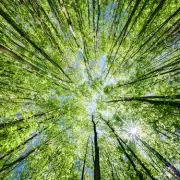 Revealed: The UK Areas Where People Spend the Most Time Outdoors - Is Your Town on the List?