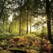 Revealed: The UK's Ultimate Autumn Walking Destination You Need to Visit