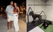 Rochelle Humes & Marvin Humes Invest £40k in Guard Dogs Following Celebrity Home Break-In Terror