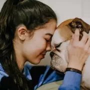 RSPCA's Urgent Plea: Help Find Abandoned Dog Left in Cardboard Box in Freezing UK Weather