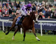 Ryan Moore Injury Update: Star Jockey's Derby Hopes in Jeopardy After Fall