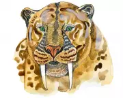 Sabre-Tooth Secrets: The Surprising Family Tree of Your Feline Friend