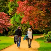 Secret UK Forest With Spectacular Autumn Colours Is A Perfect Hidden Getaway