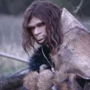 Shark Attack Horror: World's Oldest Man Meets Gruesome End in Maui Waters