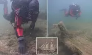 Shipwreck Unearthed: 19th-Century Vessel Emerges from Lake Michigan's Depths After Dramatic Storm