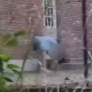 Shock as Nursery Worker Grabs Toddler's Arm in 'Unacceptable' Incident | UK Childcare Safety Alert