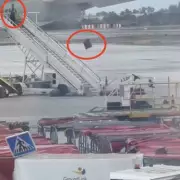 Shocking Airport Ramp Rage: Baggage Handler Filmed Violently Throwing Luggage from Hold