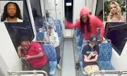 Shocking New Video Emerges of Ukrainian Woman's Alleged Fatal Stabbing on North Carolina Train | Daily Mail