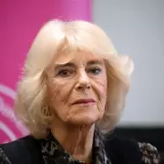 Sinusitis SOS: The 10 Key Symptoms You Must Never Ignore and How to Find Relief