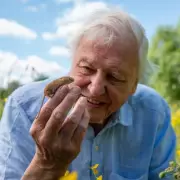 Sir David Attenborough Makes TV History With Two Major Netflix Deals