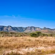 Six Dead Bodies Found Dumped in Remote Quarry in 'Deeply Disturbing' Crime Scene