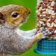 Stop Slugs & Snails NOW: The Ultimate Gardener's Defence Guide for 2024