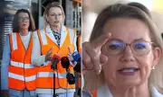 Sussan Ley Slams Albanese's 'Disastrous' 2030 Climate Targets as Economic Betrayal