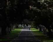 Sydney Night Stalker: Serial Rapist Finally Pleads Guilty to 1990s Reign of Terror