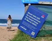 Sydney Shark Attack Tragedy: Are Outdated Nets Giving Swimmers a False Sense of Security?