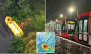 Sydney Weather Chaos: Torrential Rain and Damaging Winds Wreak Havoc, Sparking Major Flood Warnings