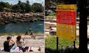 Sydney's Marrinawi Cove Swimming Ban: Shark Menace Closes Iconic Beach | Daily Mail